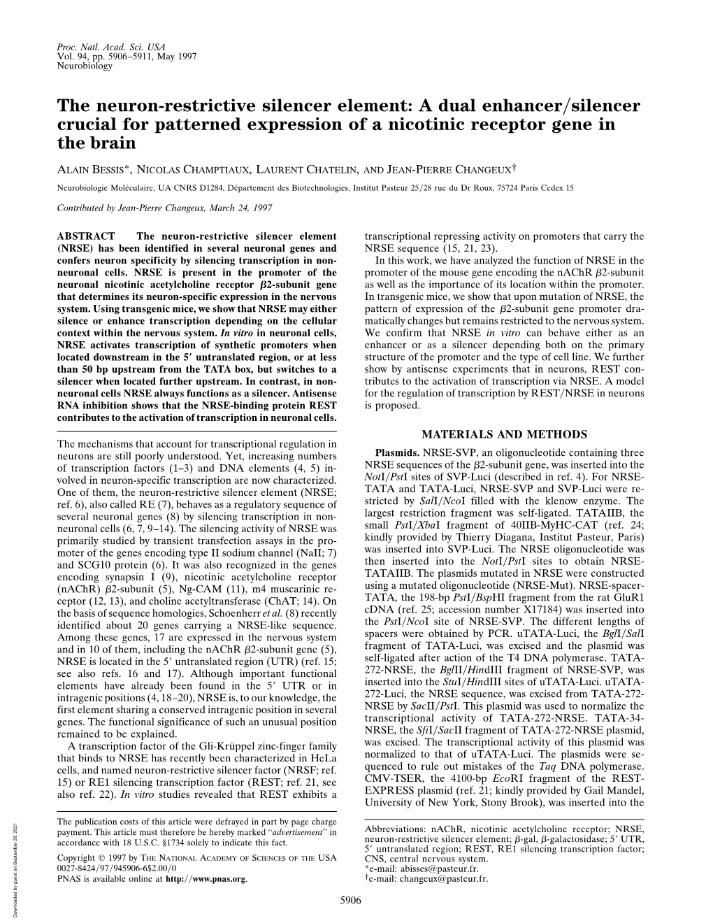 The Neuron-Restrictive Silencer Element: a Dual Enhancer͞silencer Crucial for Patterned Expression of a Nicotinic Receptor Gene in the Brain