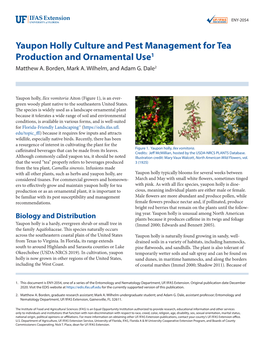 Yaupon Holly Culture and Pest Management for Tea Production and Ornamental Use1 Matthew A