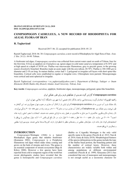 Compsopogon Caeruleus, a New Record of Rhodophyta for Algal Flora of Iran