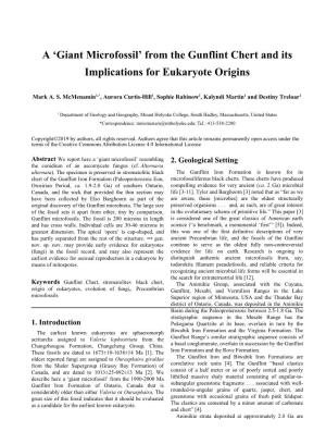 From the Gunflint Chert and Its Implications for Eukaryote Origins