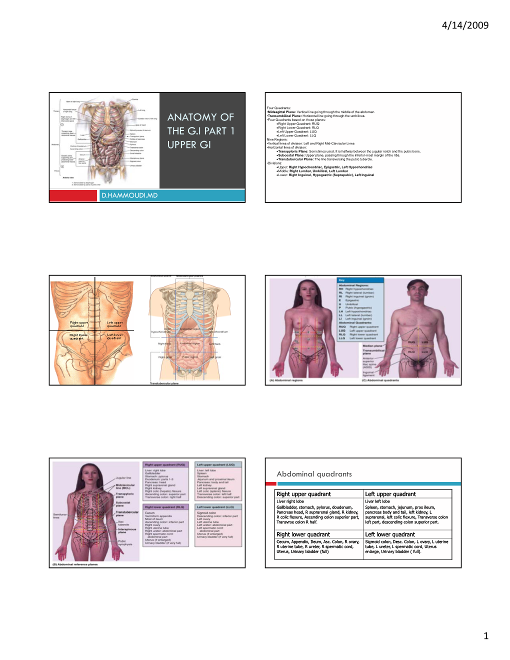 Anatomy of the G.I Part 1 Upper Gi