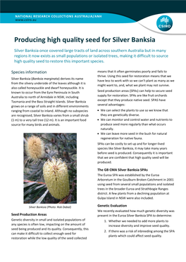CSIRO Silver Banksia Fact Sheet