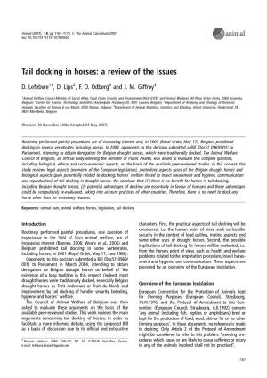 Tail Docking in Horses: a Review of the Issues