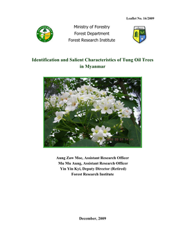 Identification and Salient Characteristics of Tung Oil Trees in Myanmar
