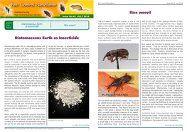 Diatomaceous Earth As Insecticide Rice Weevil