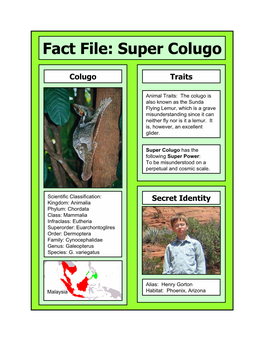 Fact File: Super Colugo