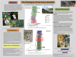Julia Olivieri. Professor: Michael Moore. Department of Biology Endemic Species in the Clade