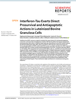 Interferon-Tau Exerts Direct Prosurvival and Antiapoptotic