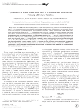 Crystallization of Brome Mosaic Virus and T = 1 Brome Mosaic