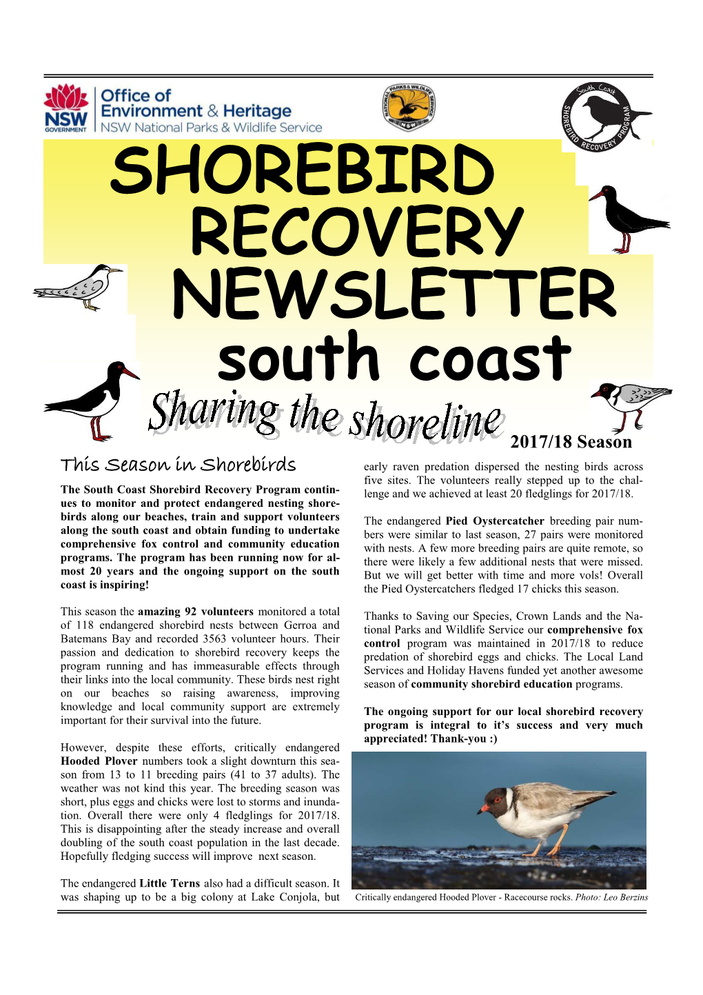South Coast Shorebird Recovery Newsletter 2017 18