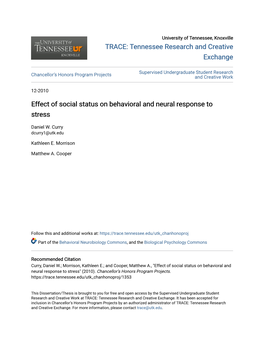 Effect of Social Status on Behavioral and Neural Response to Stress