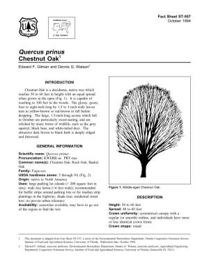 Quercus Prinus Chestnut Oak1 Edward F