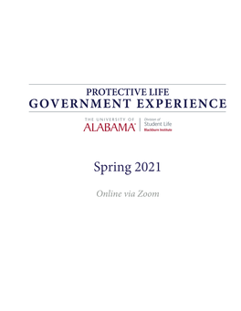 Spring 2021 Government Experience