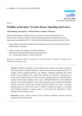 Flotillins in Receptor Tyrosine Kinase Signaling and Cancer