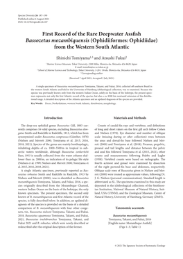 First Record of the Rare Deepwater Assfish Bassozetus Mozambiquensis (Ophidiiformes: Ophidiidae) from the Western South Atlantic