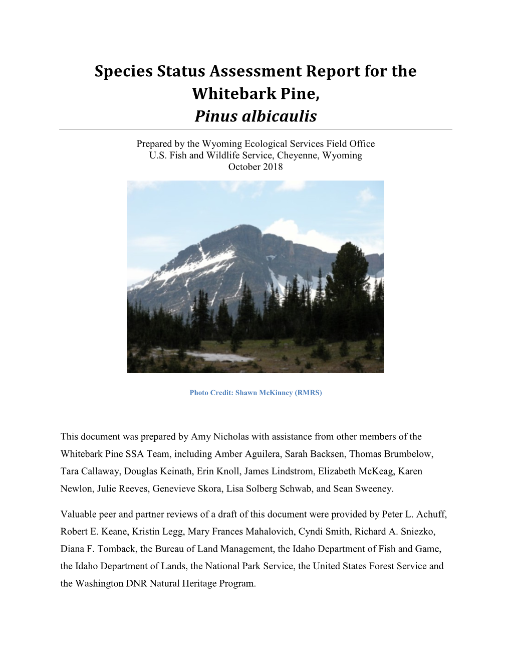 Species Status Assessment Report for the Whitebark Pine, Pinus ...