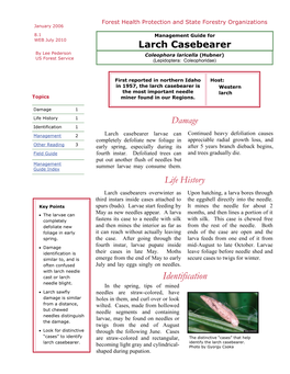 Larch Casebearer by Lee Pederson Coleophora Laricella (Hubner) US Forest Service (Lepidoptera: Coleophoridae)
