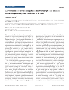 Asymmetric Cell Division Regulates the Transcriptional Balance Controlling Memory Fate Decisions in T Cells