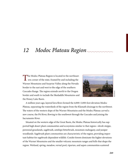 12 Modoc Plateau Region
