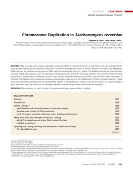 Chromosome Duplication in Saccharomyces Cerevisiae