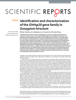 Identification and Characterization of the Ghhsp20gene Family in Gossypium Hirsutum