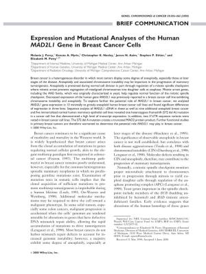 Expression and Mutational Analyses of the Human MAD2L1 Gene in Breast Cancer Cells