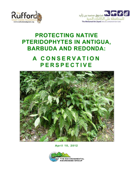 Protecting Native Pteridophytes in Antigua, Barbuda and Redonda