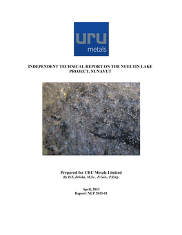 Independent Technical Report on the Nueltin Lake Project, Nunavut