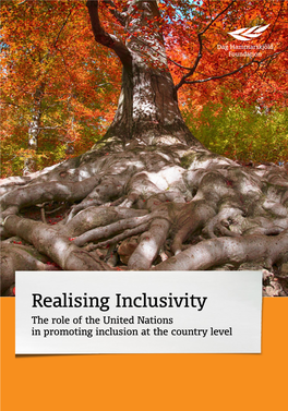Realising Inclusivity: the Role of the United Nations in Promoting