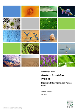 Western Surat Gas Project Biodiversity Environmental Values Report