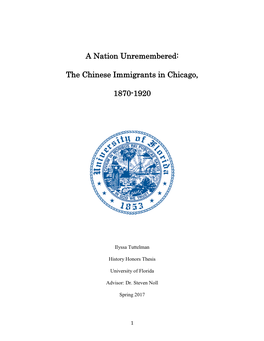 The Chinese Immigrants in Chicago, 1870-1920