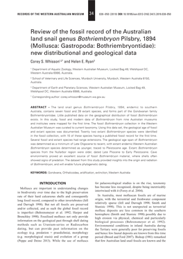 Review of the Fossil Record of the Australian Land Snail Genus