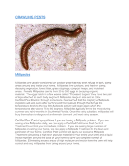 CRAWLING PESTS Millipedes