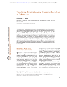 Translation Termination and Ribosome Recycling in Eukaryotes