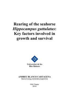 Rearing of the Seahorse Hippocampus Guttulatus: Key Factors Involved in Growth and Survival