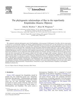 The Phylogenetic Relationships of Flies in the Superfamily Empidoidea (Insecta: Diptera)