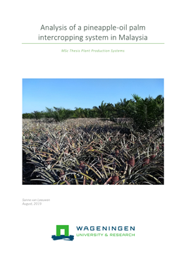 Analysis of a Pineapple-Oil Palm Intercropping System in Malaysia
