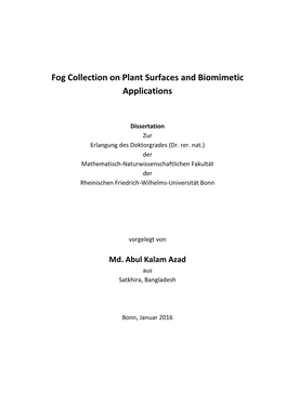 Fog Collection on Plant Surfaces and Biomimetic Applications