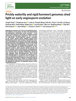 Prickly Waterlily and Rigid Hornwort Genomes Shed Light on Early Angiosperm Evolution