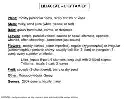 Liliaceae – Lily Family