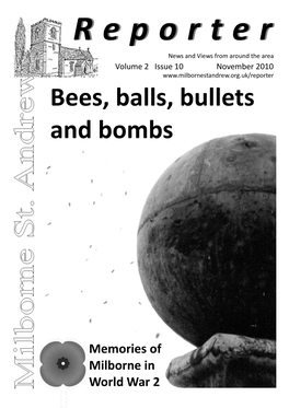 Bees, Balls, Bullets and Bombs