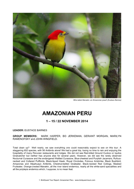 Amazonian Peru