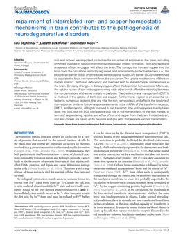 And Copper Homeostatic Mechanisms in Brain Contributes to the Pathogenesis of Neurodegenerative Disorders