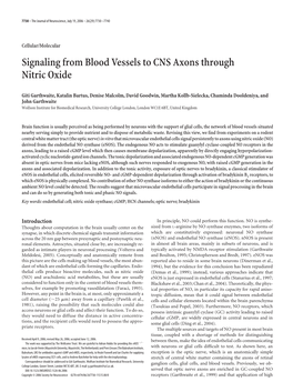 Signaling from Blood Vessels to CNS Axons Through Nitric Oxide