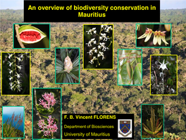 Overview Conservation in Mauritius