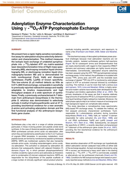 Adenylation Enzyme Characterization Using &Gamma; -18O4-ATP