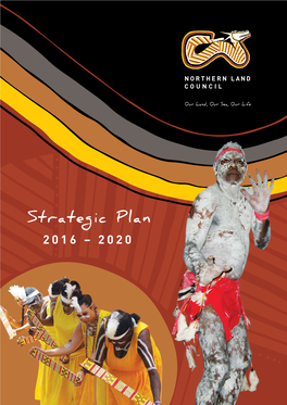 NLC Strategic Plan 2016-2020