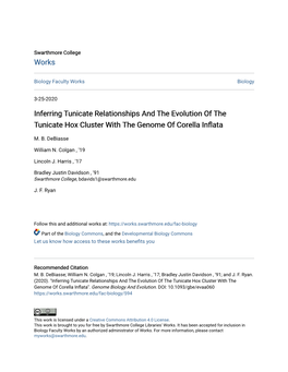 Inferring Tunicate Relationships and the Evolution of the Tunicate Hox Cluster with the Genome of Corella Inflata