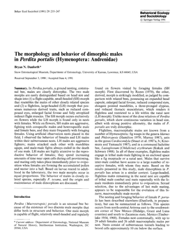 The Morphology and Behavior of Dimorphic Males in Perdita Portalis