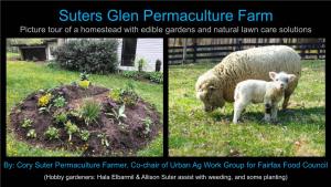 Suters Glen Permaculture Farm Picture Tour of a Homestead with Edible Gardens and Natural Lawn Care Solutions